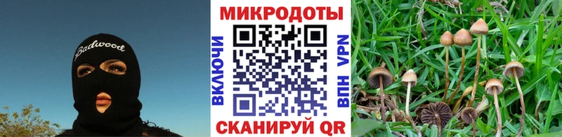 Галлюциногенные грибы Psilocybine cubensis где продают Невьянск